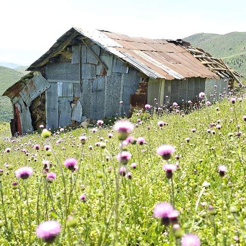 Photo #10593439