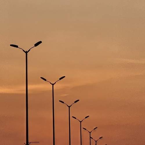 Photo #10593444
