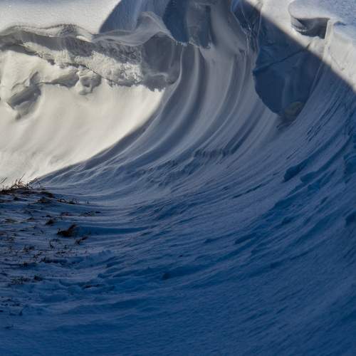Photo #10593468