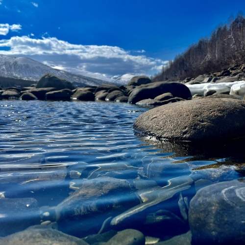 Photo #10593854
