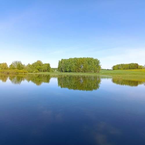 Photo #10593988