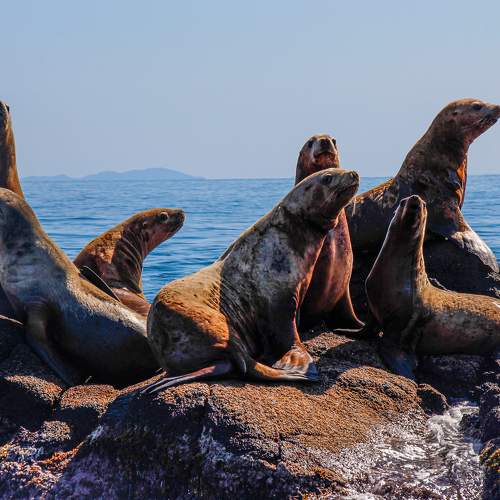 Photo #10594243
