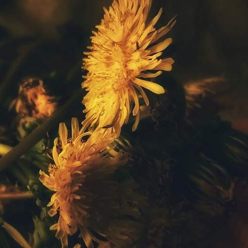 Photo #10594322