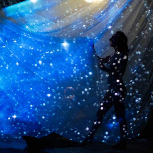 Photo #10594369