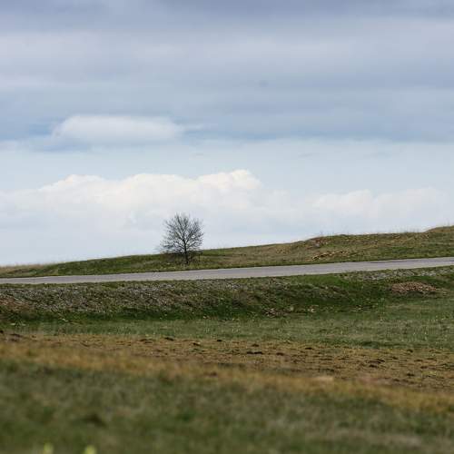 Photo #10594528