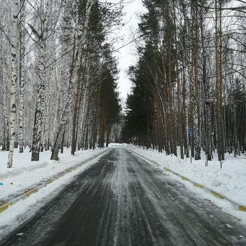 Путь вперёд?
