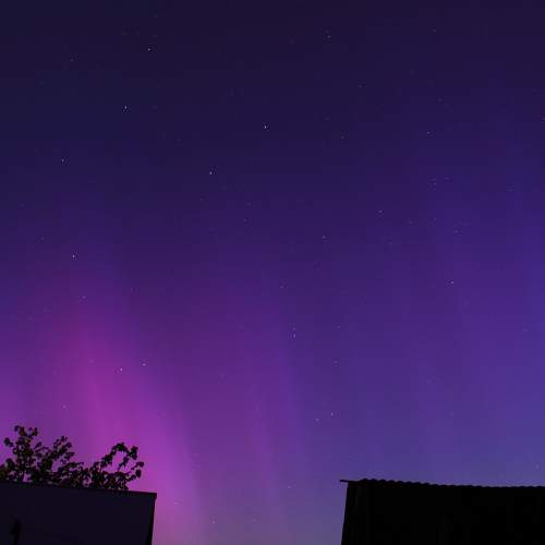 Photo #10594815