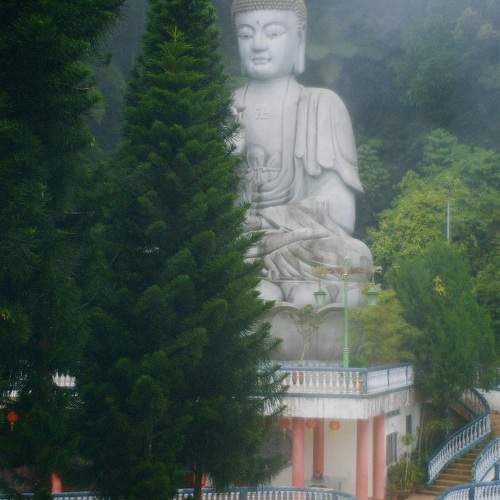 Photo #10595111