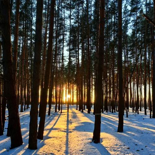 Photo #10595426