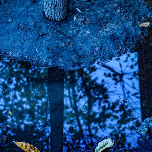 Photo #10595818
