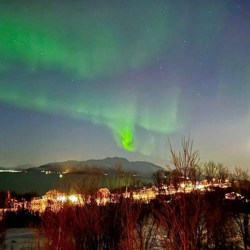 Photo #10596133