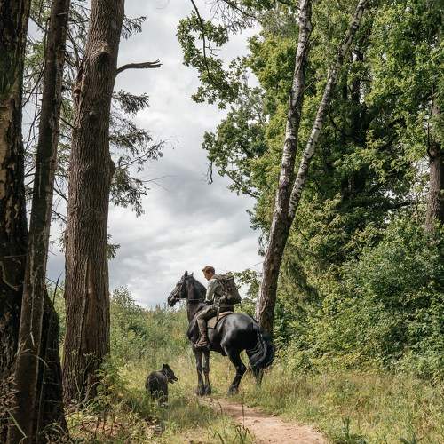 Photo #10596346