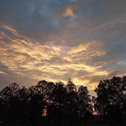 Photo #10596455