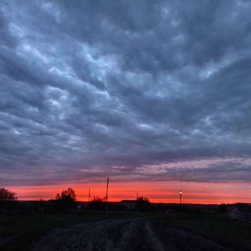 Photo #10596460