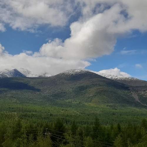 Photo #10596903