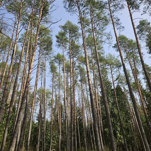 Photo #10597553