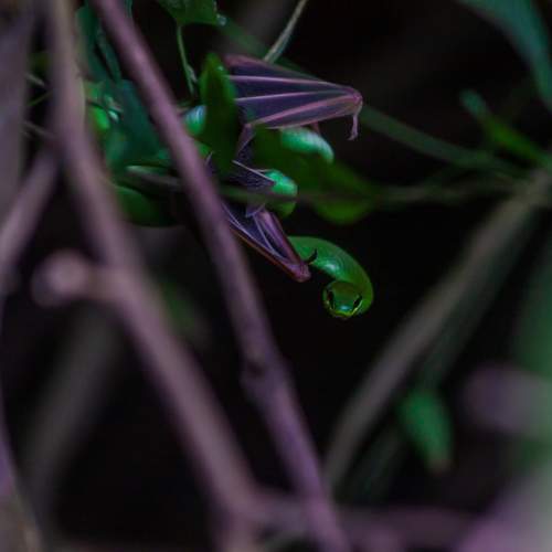 Photo #10597765