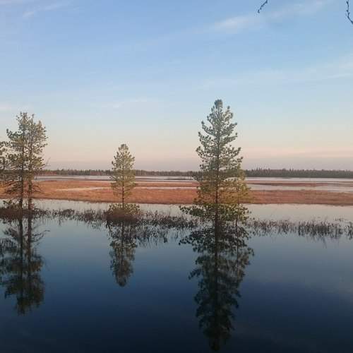 Photo #10597946