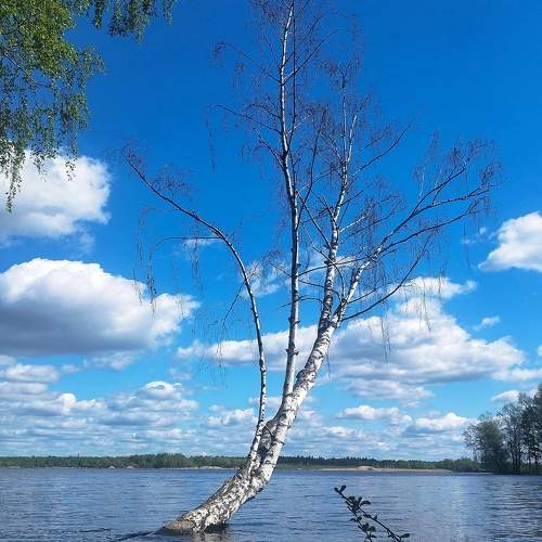 Photo #10598033