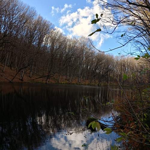 Photo #10598038