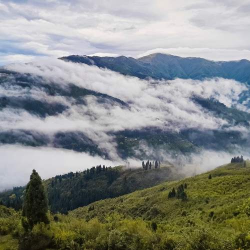 Photo #10598086