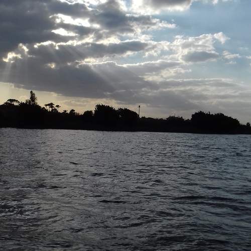 Photo #10598122