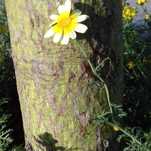 Photo #10598125
