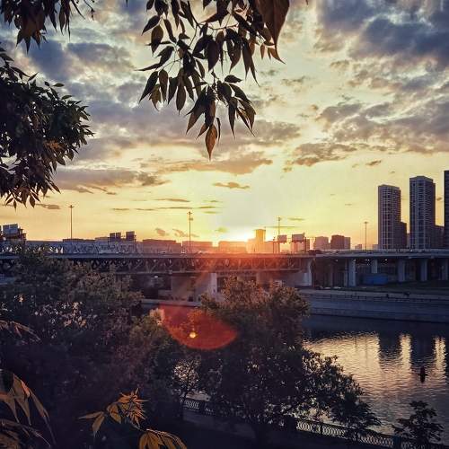 Photo #10598356
