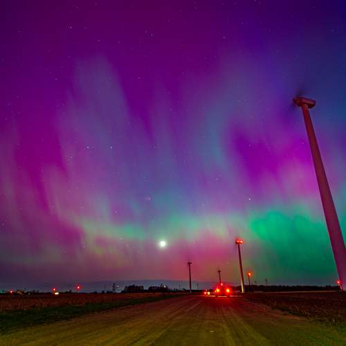 Photo #10598558