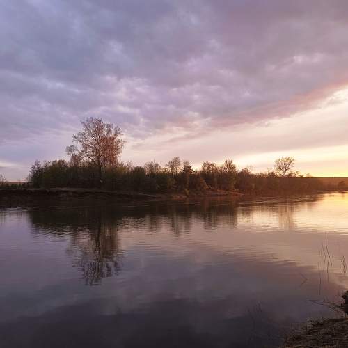 Photo #10598612
