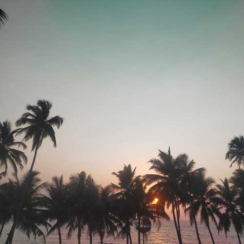 Photo #10598617