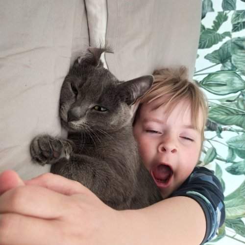 Photo #10598879