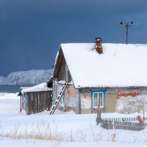 Photo #10599440