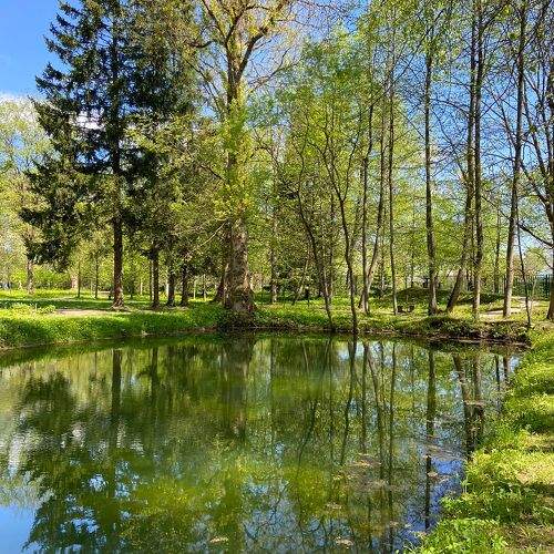Photo #10599559