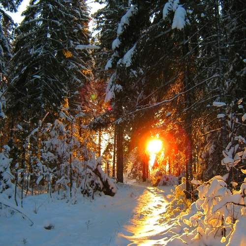 Photo #10599750