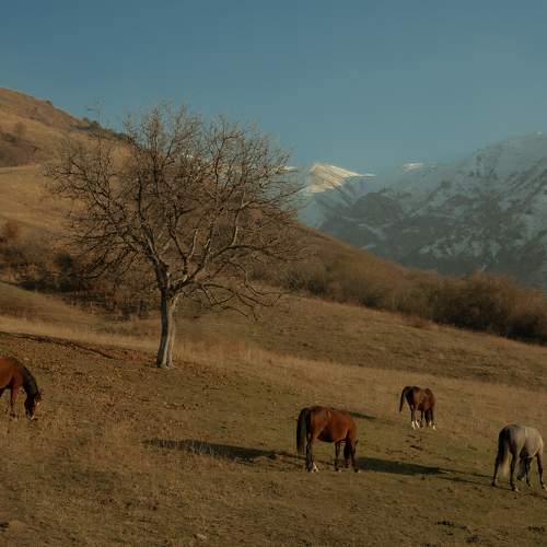 Photo #10599909