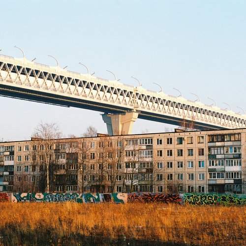 Photo #10599911