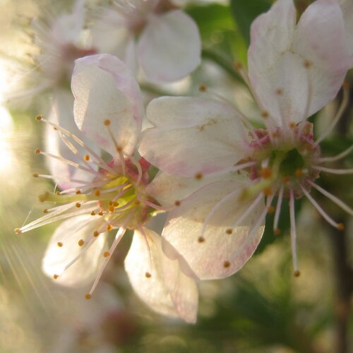 Photo #1061879