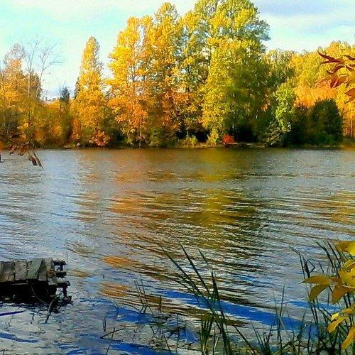 Река Пехорка.