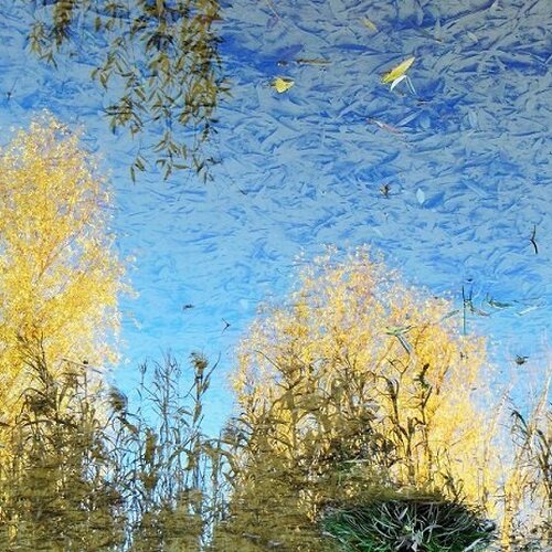Photo #1062499