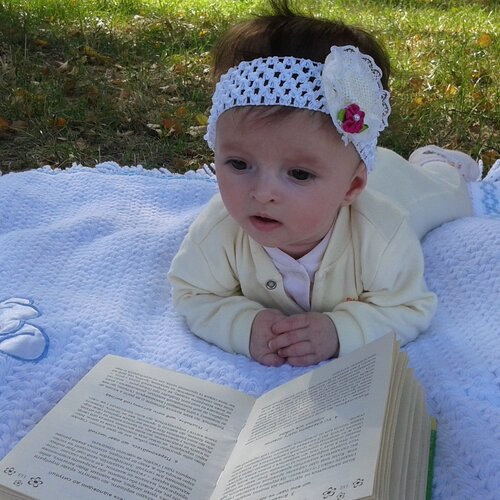 Photo #1062592