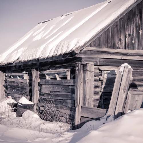Photo #10600086