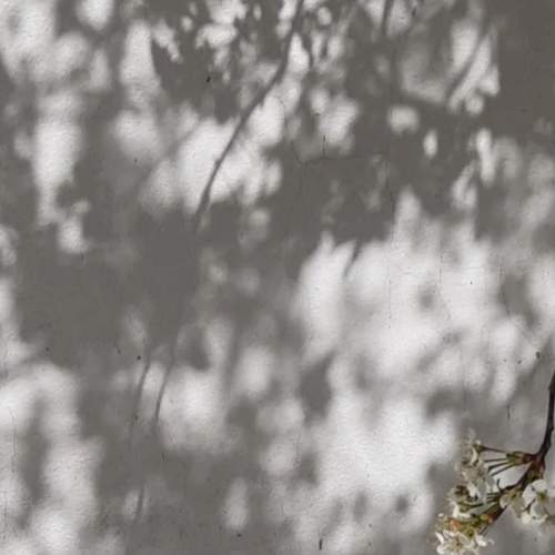 Photo #10600125