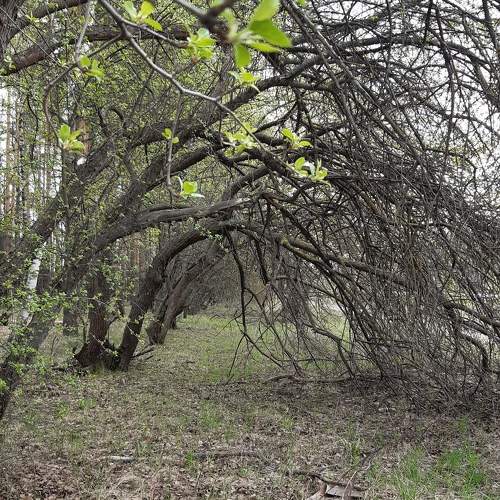 Photo #10600128
