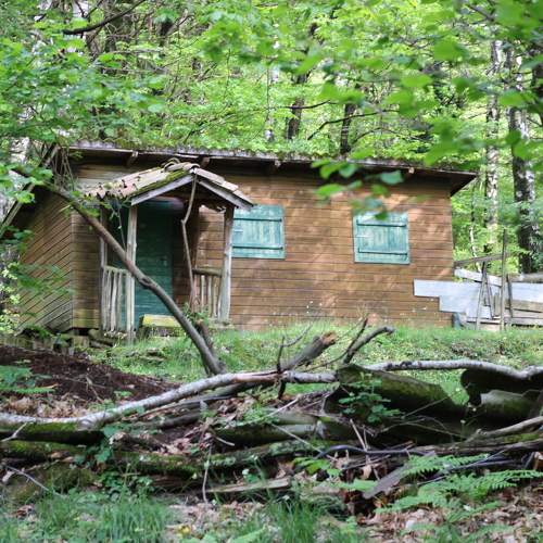 Photo #10600276