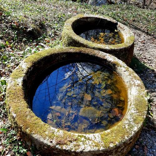 Photo #10600330