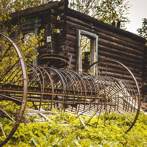 Photo #10600530
