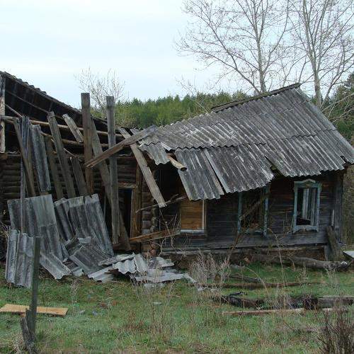 Photo #10601042