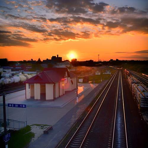 Photo #10601281