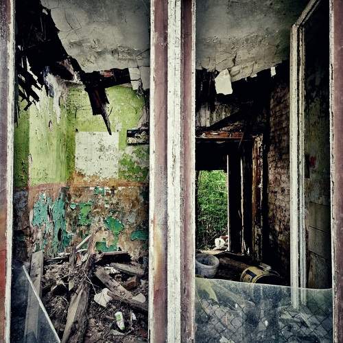 Photo #10601490